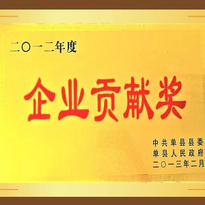 企業(yè)貢獻獎